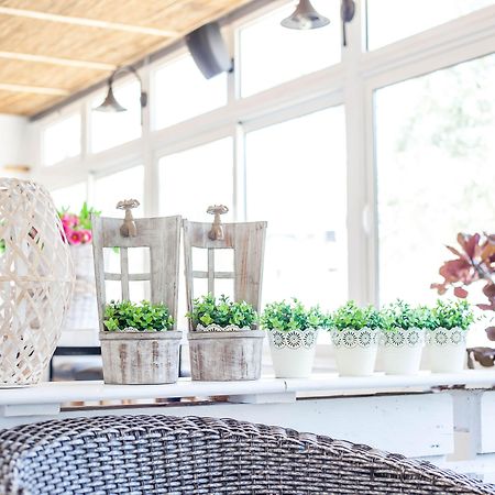 Tinas Plus Hotel Faliraki Dış mekan fotoğraf